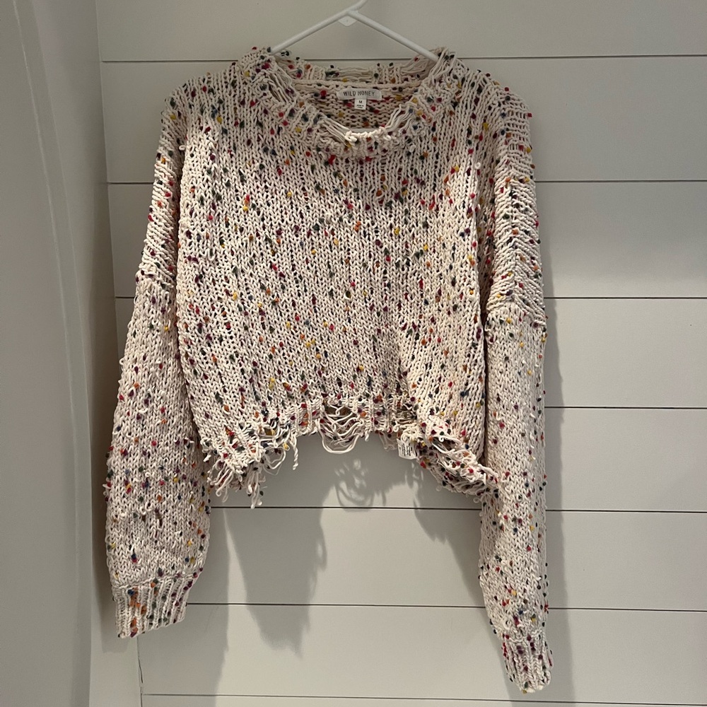 Wild Honey Confetti Sweater